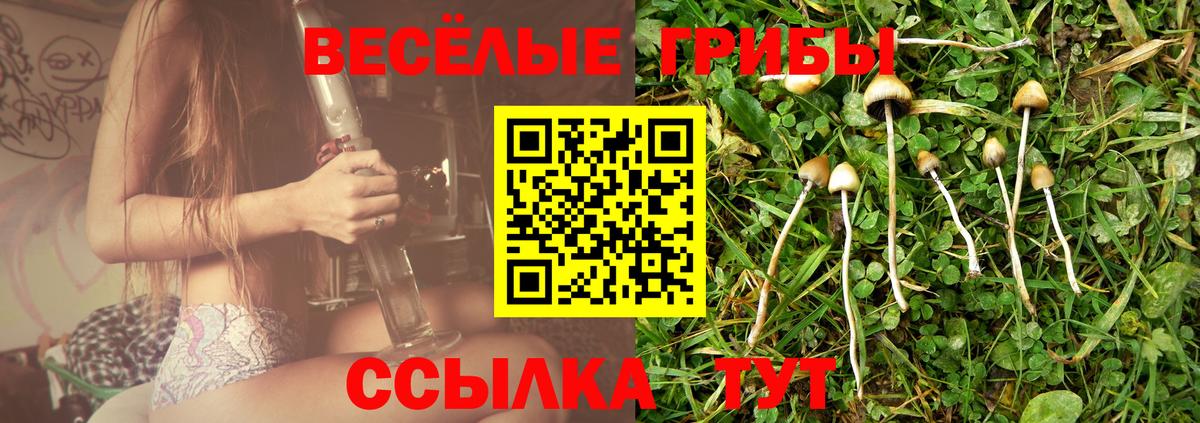 Псилоцибиновые грибы Psilocybine cubensis  Псилоцибиновые грибы мицелий  закладка  Вход с VPN  Волгодонск 