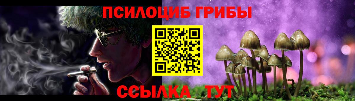 Псилоцибиновые грибы GOLDEN TEACHER Волгодонск